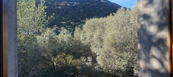 3 غرف نوم فيلا في Figari, France رقم 65548 12