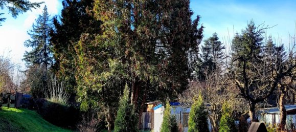 3 bedrooms House in Gotha, Germany No. 83058 14