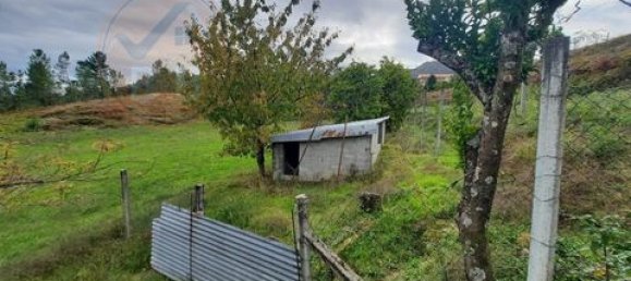 3 chambres Terrain à Cabeceiras de Basto, Portugal No. 149153 20