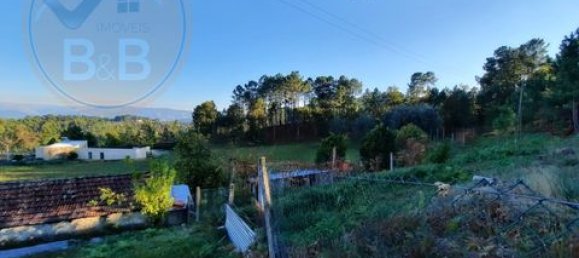 3 chambres Terrain à Cabeceiras de Basto, Portugal No. 149153 6