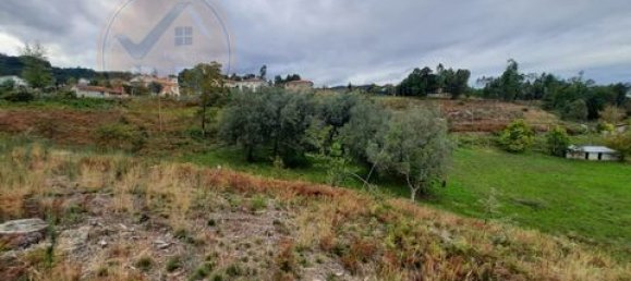 3 chambres Terrain à Cabeceiras de Basto, Portugal No. 149153 11