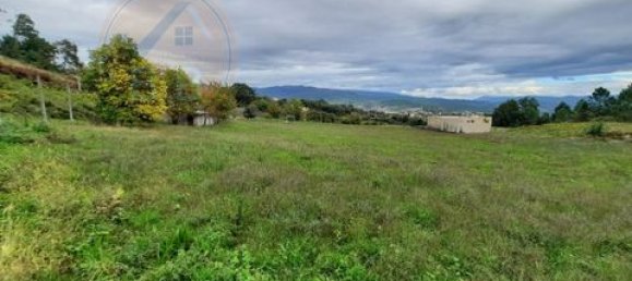 3 chambres Terrain à Cabeceiras de Basto, Portugal No. 149153 12