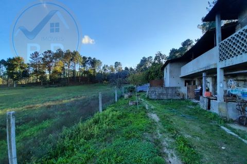 3 chambres Terrain à Cabeceiras de Basto, Portugal No. 149153
