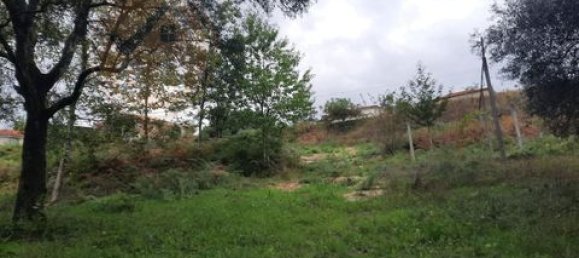 3 chambres Terrain à Cabeceiras de Basto, Portugal No. 149153 14