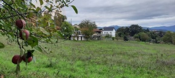 3 chambres Terrain à Cabeceiras de Basto, Portugal No. 149153 9