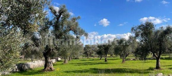 1 غرف نوم منزل في San Michele Salentino, Italy رقم 63420 2