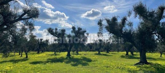 1 غرف نوم منزل في San Michele Salentino, Italy رقم 63420 3