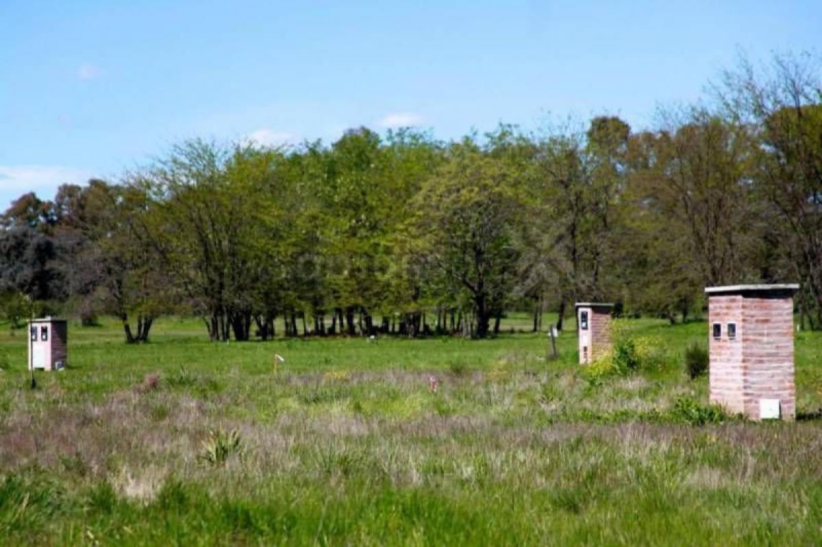  Land in Pilar, Argentina No. 37074