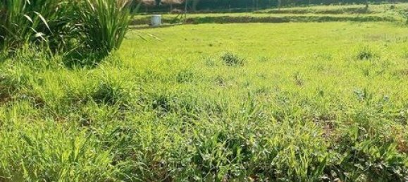 3 bedrooms Townhouse in Cabeceiras de Basto, Portugal No. 147832 26