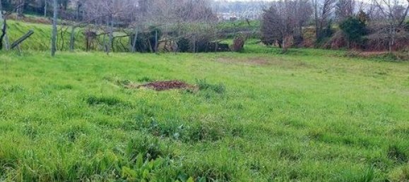 3 bedrooms Townhouse in Cabeceiras de Basto, Portugal No. 147832 21