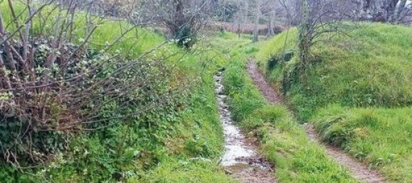 3 bedrooms Townhouse in Cabeceiras de Basto, Portugal No. 147832 22