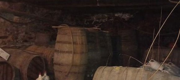 3 bedrooms Townhouse in Cabeceiras de Basto, Portugal No. 147832 16