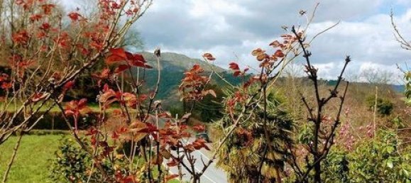 3 bedrooms Townhouse in Cabeceiras de Basto, Portugal No. 147832 28