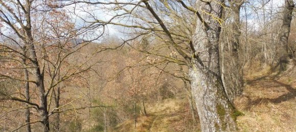 73050m² Land in Camerino, Italy No. 296211 11