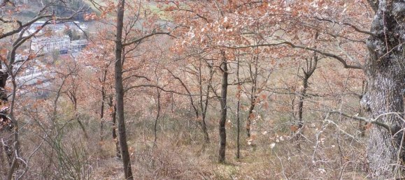 73050m² Land in Camerino, Italy No. 296211 3