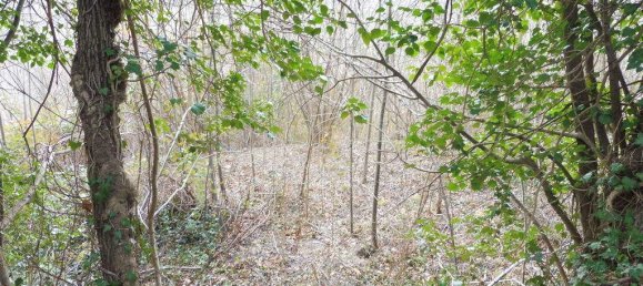 73050m² Land in Camerino, Italy No. 296211 12