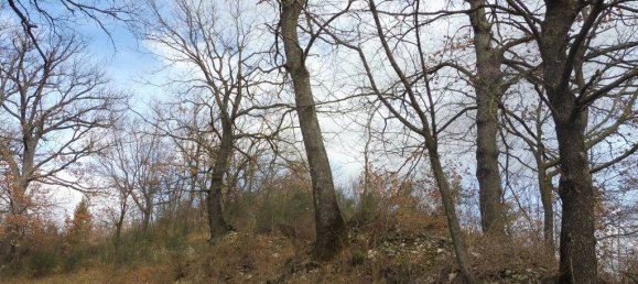 73050m² Land in Camerino, Italy No. 296211 8