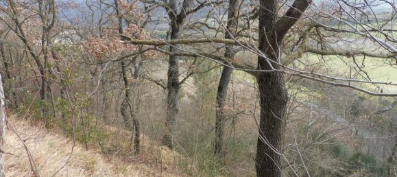 73050m² Land in Camerino, Italy No. 296211 2