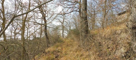 73050m² Land in Camerino, Italy No. 296211 4