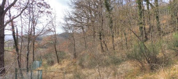 73050m² Land in Camerino, Italy No. 296211 13