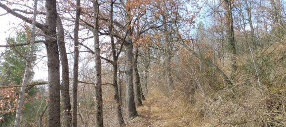 73050m² Land in Camerino, Italy No. 296211 6