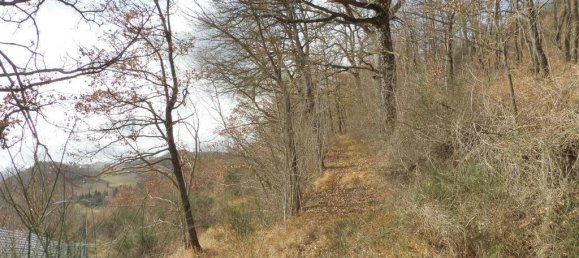 73050m² Land in Camerino, Italy No. 296211 7