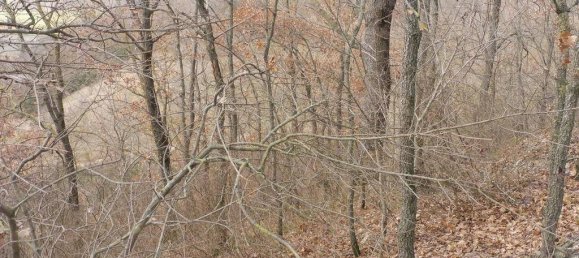 73050m² Land in Camerino, Italy No. 296211 9