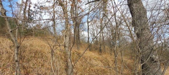 73050m² Land in Camerino, Italy No. 296211 5