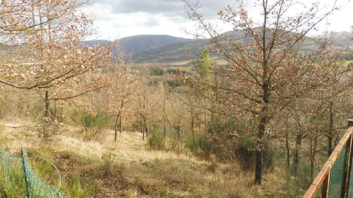 73050m² Land in Camerino, Italy No. 296211