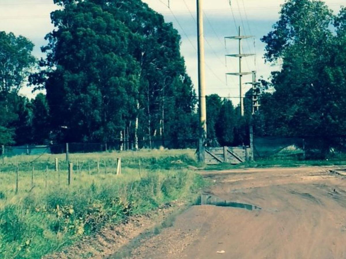  Land in Buenos Aires, Argentina No. 114666