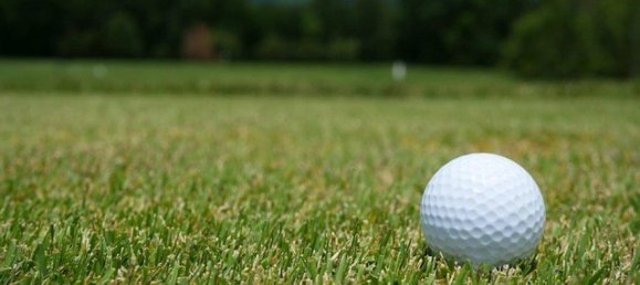  Land in Jennersdorf, Austria No. 167224 3