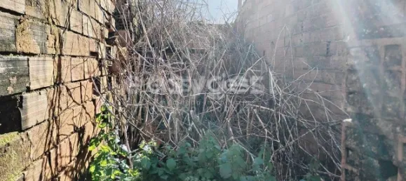 1 Schlafzimmer Schlösser in Aguas Belas, Portugal, Nr. 66404 16