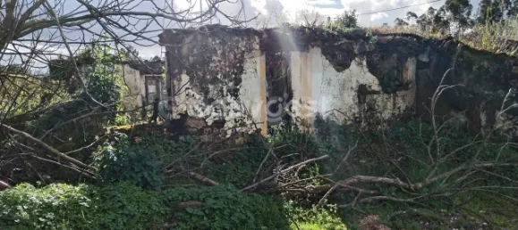 1 Schlafzimmer Schlösser in Aguas Belas, Portugal, Nr. 66404 14