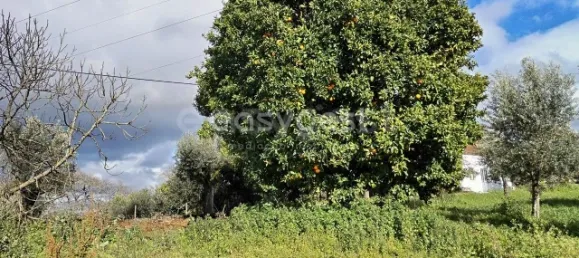 1 Schlafzimmer Schlösser in Aguas Belas, Portugal, Nr. 66404 12