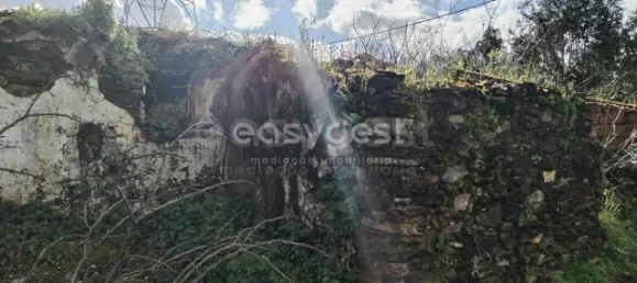 1 Schlafzimmer Schlösser in Aguas Belas, Portugal, Nr. 66404 4