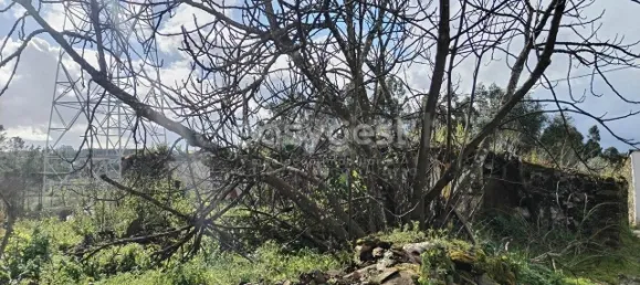 1 Schlafzimmer Schlösser in Aguas Belas, Portugal, Nr. 66404 6