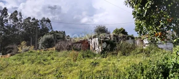 1 Schlafzimmer Schlösser in Aguas Belas, Portugal, Nr. 66404 8