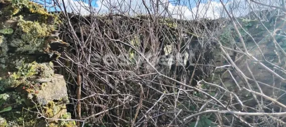 1 Schlafzimmer Schlösser in Aguas Belas, Portugal, Nr. 66404 15