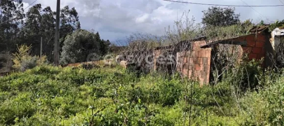 1 Schlafzimmer Schlösser in Aguas Belas, Portugal, Nr. 66404 11