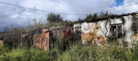 1 Schlafzimmer Schlösser in Aguas Belas, Portugal, Nr. 66404 9