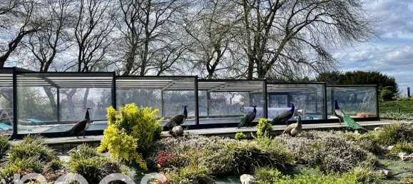 4 Schlafzimmer Haus in Nomain, France, Nr. 266982 14