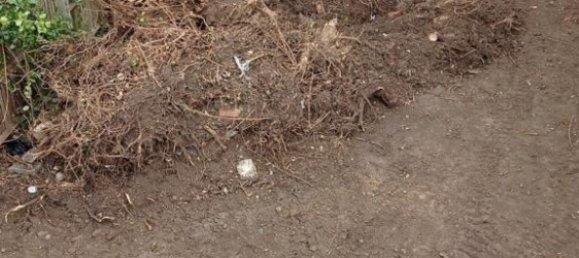 2 bedrooms House in Harrow, United Kingdom No. 10546 11