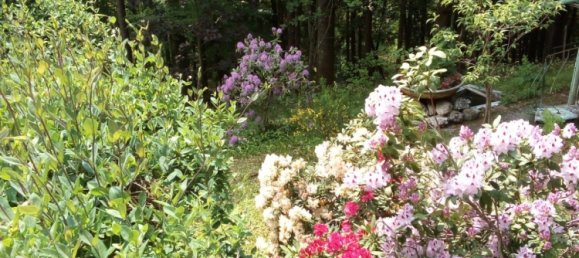 1 chambre Terrain à Straubing-Bogen, Germany No. 280900 13