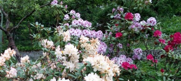 1 chambre Terrain à Straubing-Bogen, Germany No. 280900 12