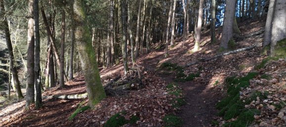 1 chambre Terrain à Straubing-Bogen, Germany No. 280900 18