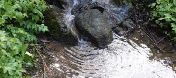 1 chambre Terrain à Straubing-Bogen, Germany No. 280900 8