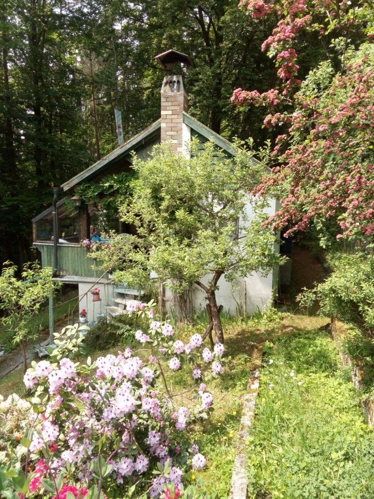 1 chambre Terrain à Straubing-Bogen, Germany No. 280900