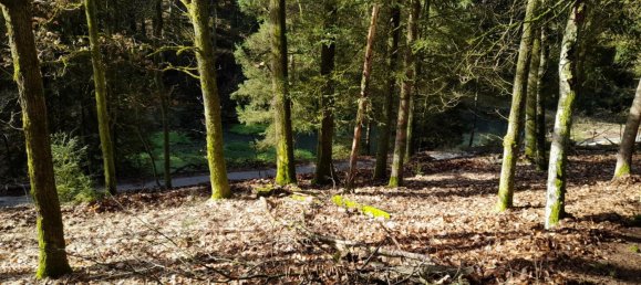 1 chambre Terrain à Straubing-Bogen, Germany No. 280900 20