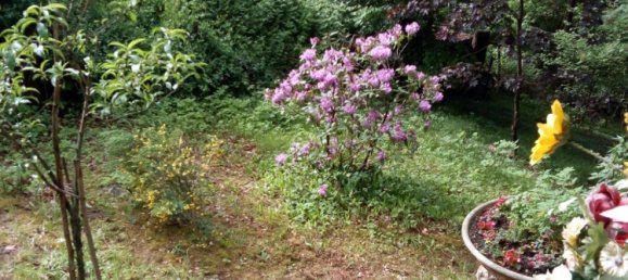 1 chambre Terrain à Straubing-Bogen, Germany No. 280900 14