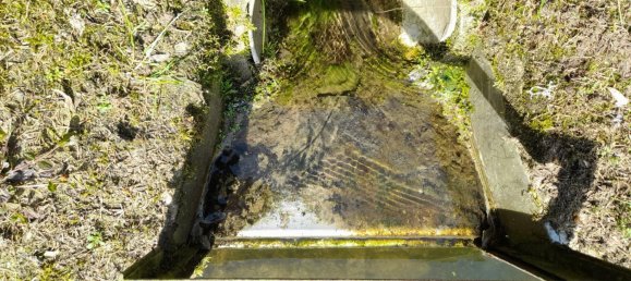 1 chambre Terrain à Straubing-Bogen, Germany No. 280900 7